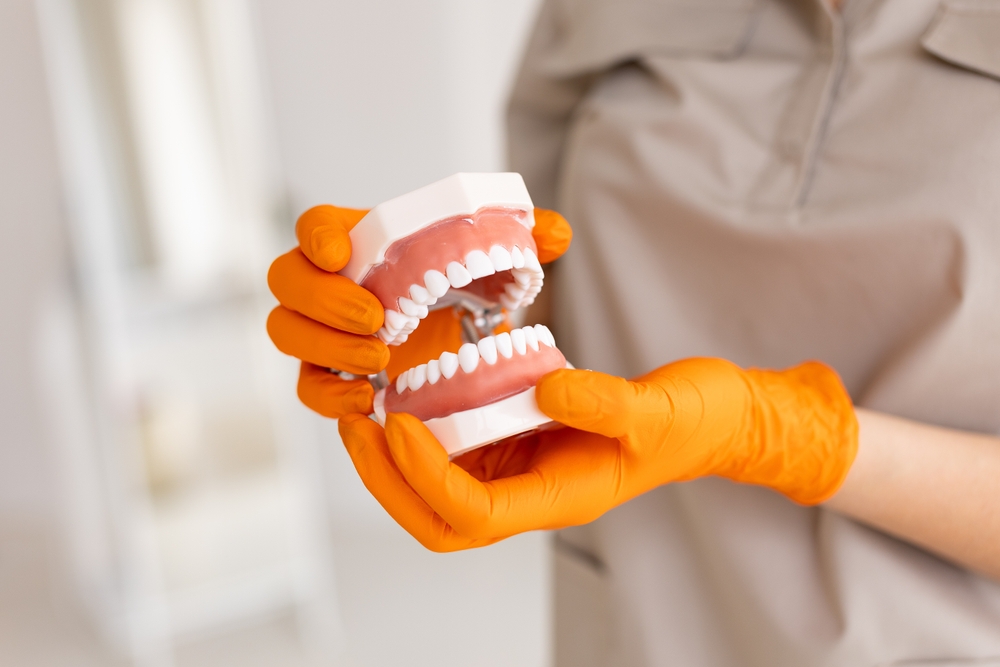 a beginner’s guide to dentures what you need to know